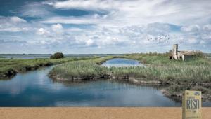 Grandi Riso lancia la campagna digital per promuovere l’IGP Delta del Po, un prodotto “naturale, unico e sociale”