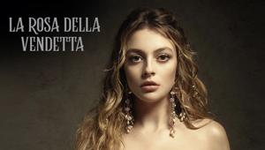 Ottimi risultati per il palinsesto di Canale 5. La Rosa Della Vendetta vince con 2,1 mln di spettatori, share del 17% sul target donne, l’on demand registra 4,2 mln di visualizzazioni. Nel pomeridiano 26,6% di share con Endless Love. Bene l'informazione