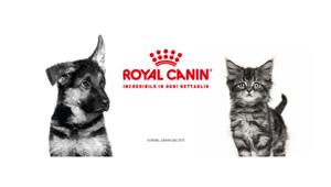 Ad Hub09 la gestione dei canali social di Royal Canin Italia