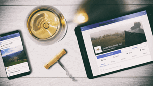 Young Digitals firma la campagna “Exploring Taste”  del gruppo vinicolo Santa Margherita