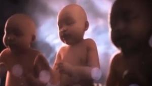 Festival di Sanremo: sul web scatta la polemica per il video promozionale con i feti che cantano 'Non ho l'età'