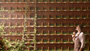 Dude e Birrificio Angelo Poretti di nuovo insieme per il lancio in TV delle 7 Luppoli - Le Stagionali