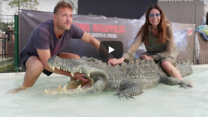 Anteprima speciale del film 'Crawl-Intrappolati' nella Cinepiscina di Cinecittà World. Ad aprire l'evento il concerto di Piotta. Organizzazione a cura di Fusion Communications