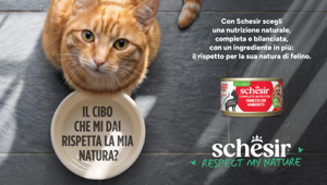 “Respect my nature”: Schesir torna in comunicazione con Robilant, Key Due e Polo Digitale per il nuovo posizionamento di marca