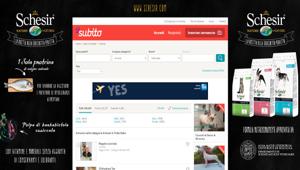 Schesir su Subito per promuovere le crocchette per cani e gatti