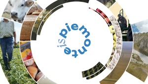 HUB09 ed Eggers danno vita al nuovo marchio  PIEMONTEis Eccellenza Piemonte e alla campagna di comunicazione a 360°