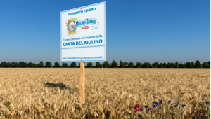 Mulino Bianco porta l’agricoltura rigenerativa sulle tavole italiane col nuovo Buongrano e la racconta con una nuova campagna