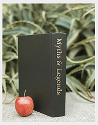 Screenshot 2026 02 27 at 10.37.26