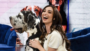 Rai2 presenta “PETS – Animali del cuore”: Lorella Boccia al debutto con OIPA