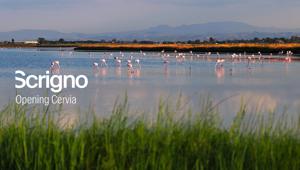Scrigno apre le porte del suo territorio: con SBAM prende il via un percorso di racconto tra design, identità e Romagna