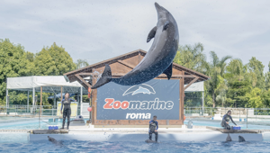 Zoomarine estate 2019: in programma eventi, nuove attrazioni e iniziative per educare al rispetto per l’ambiente e degli animali
