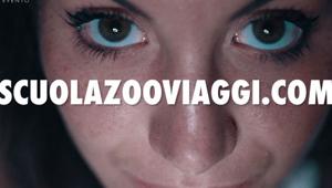 ScuolaZoo debutta in tv per i Viaggi Evento. Il 44% del budget sul digital