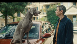 Segugio.it dà inizio a una nuova fase comunicativa e debutta in TV con il primo episodio della campagna affidata a Gibbo&Lori