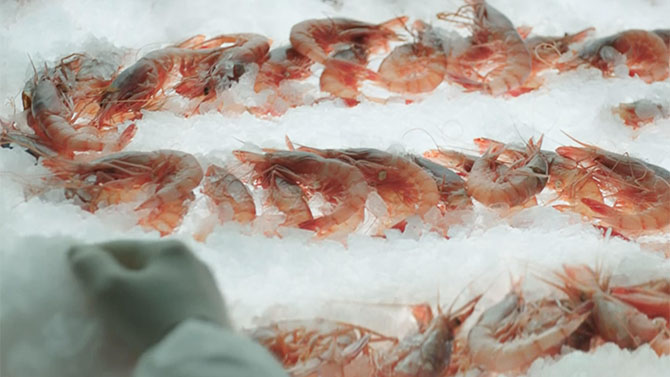 "Più la conosci, più ti innamori": dal 9 febbraio è on air il nuovo flight della campagna istituzionale Esselunga. Firma Armando Testa