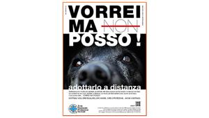 E' on air la nuova campagna di Enpa dedicata alle adozioni a distanza. Firma Oikos Creative Lab