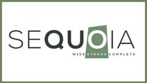 Nasce Sequoia, nuovo network di comunicazione composto da Yolo Plus, Fandes Consulting, ZEF Studio e Your Export Studio
