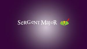 The Digital Project si aggiudica la gara GPE Group per il lancio del brand Sergent Major