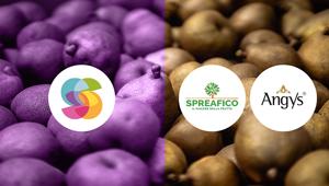 Gruppo Spreafico affida a Soluzione Group la social media strategy multibrand