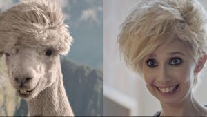 On air 'Alpaca', nuovo soggetto della campagna Settimana Enigmistica. Firma Gitto/Battaglia_22