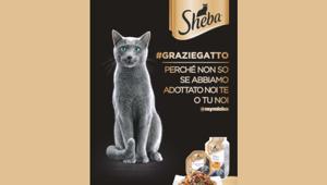 Mars Italia e Sheba invitano a dire #GrazieGatto sui social, in OOH e sul digital con Omni@