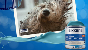 H2H riconfermata agenzia partner di Akzo Nobel per tutte le attività di comunicazione