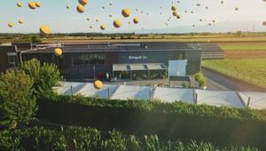 Simpol. the reactive agency: +69% e due milioni di euro di fatturato nel 2023