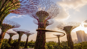 Singapore Tourism Board e Airbnb Experience avviano una partnership per sostenere la ripresa del turismo internazionale
