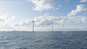  Sky Cinema: il 3 e 4 giugno maratona dedicata al "Festival per lo sviluppo sostenibile 2017". In prima tv "Domani"