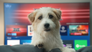 Sky Q e Sky Wifi fanno felice tutta la famiglia nella nuova campagna pubblicitaria firmata Sky Creative Agency Italia