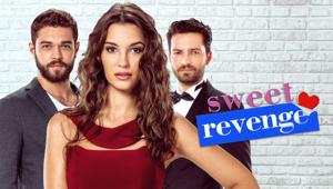 Agcom autorizza i primi Fast Channels in Italia. Via libera a Soap Latino e Soap Turco