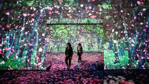 “The Spirit of Japan - an immersive art experience”, un grande successo con oltre 15.000 visitatori in un mese. Gli organizzatori GC Events e Danny Rose Studio prolungano la permanenza a Milano fino al 27 ottobre
