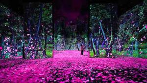 GC Events con Danny Rose Studio presenta “The Spirit Of Japan an immersive art experience”.  Dopo Tokyo, San Paolo e Shangai, la mostra arriva per la prima volta in Italia in anteprima per l’Europa