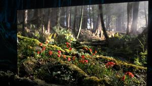 Sony illumina una foresta nello spot della serie Bravia Oled AF8 . Firma  DDB Berlin, pianifica Mediacom