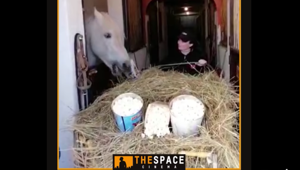 Cinema e riaperture: i dipendenti The Space Cinema ‘si allenano’ al ritorno in sala nell’iniziativa lanciata sui social dal circuito