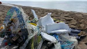 ‘Keep it Blue’, i dipendenti di American Express ripuliscono dalle plastiche e dai rifiuti la spiaggia Capocotta a Ostia