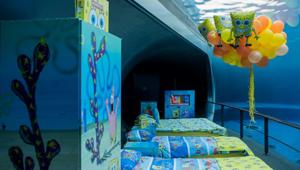 'Una notte all'Acquario con Spongebob', il concorso che permette di dormire sott'acqua all'Acquario di Genova