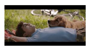 Monge celebra 60 anni con una campagna di CDA ADV