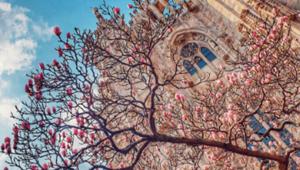 #SpringinLombardia, la call sui social invita a scoprire l’incantevole primavera lombarda