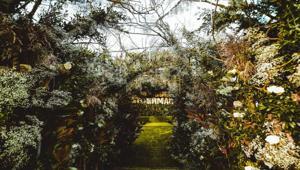 ST-Germain inaugura la sua prima Maison in Italia con Ogilvy & Mather e Inventa TRO e lancia una nuova tendenza nell'aperitivo: il flower pairing.  Al via in 200 tappe il St-Germain Spritz Aperitif Tour. Quasi raddoppiato il budget 2018