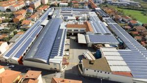 Fratelli Polli affida a Itinerys SPA e True Relazioni Pubbliche srl la comunicazione TTL: Social, website, Influencer e Ufficio Stampa