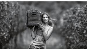 Le verità di Tavernello on air con Lorenzo Marini Group