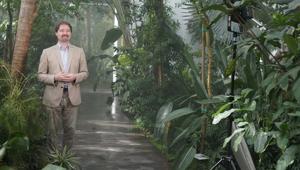 Su Focus debutta la serie 'Mai estinti: la terra dei dinosauri'