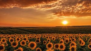 ‘Terre di Pisa’, il nuovo progetto di valorizzazione turistica del territorio pisano debutta in Bit. L’agenzia Carmi e Ubertis firma la nuova identità visiva e la piattaforma internet