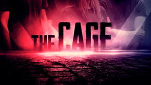 Sda Bocconi sigla una partnership con Newton S.p.A per l’utilizzo di The Cage
