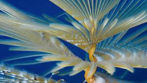 Fondazione 3M porta i rapporti umani e la sostenibilità in mostra a Sestri Levante