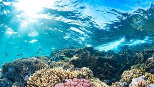 The Red Sea lancia la campagna digitale ‘See Beyond’ e invita i consumatori a iscriversi al sito