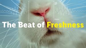 Lidl Italia lancia la nuova campagna social "The Beat of Freshness" dedicata alla freschezza del comparto di frutta e verdura
