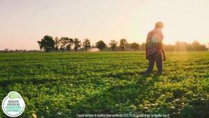 Al via un percorso di sostenibilità per il brand Tigullio che parte dal suo ingrediente più prezioso: il basilico