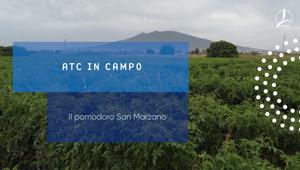 IAKI Group e TIMAC AGRO Italia danno voce agli agricoltori di successo italiani in una video serie di 20 storie