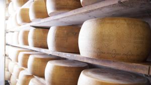 Trentingrana a fianco degli Alpini per la 91esima Adunata Nazionale